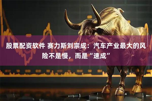 股票配资软件 赛力斯刘宗成：汽车产业最大的风险不是慢，而是“速成”